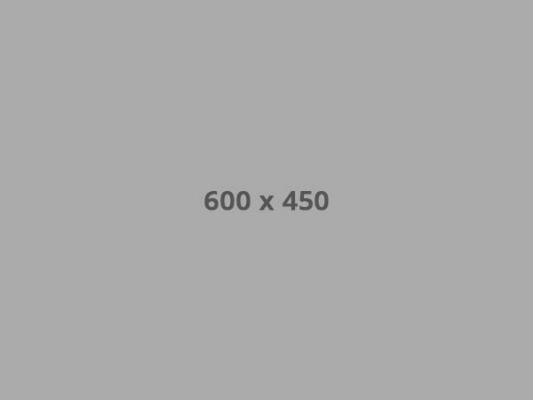 alt image